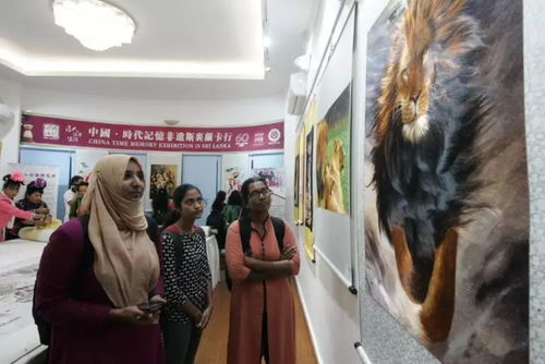 中国 时代记忆非遗斯里兰卡行 文化交流活动 在斯里兰卡隆重开幕